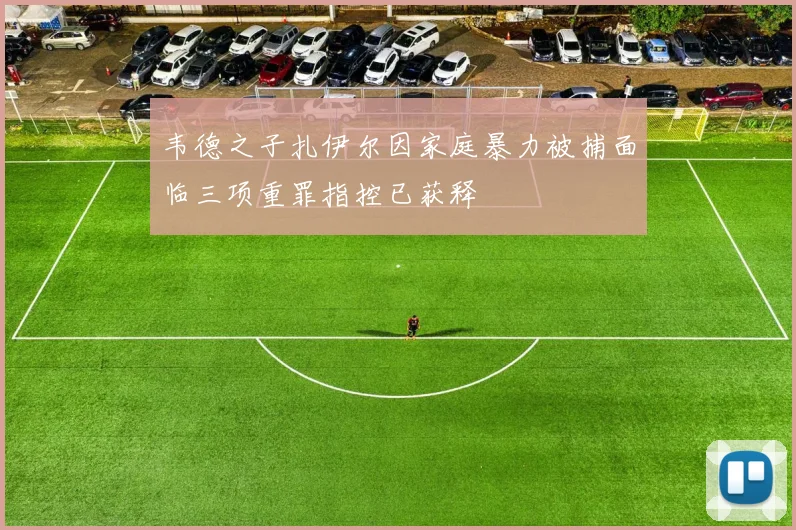 韦德之子扎伊尔因家庭暴力被捕面临三项重罪指控已获释